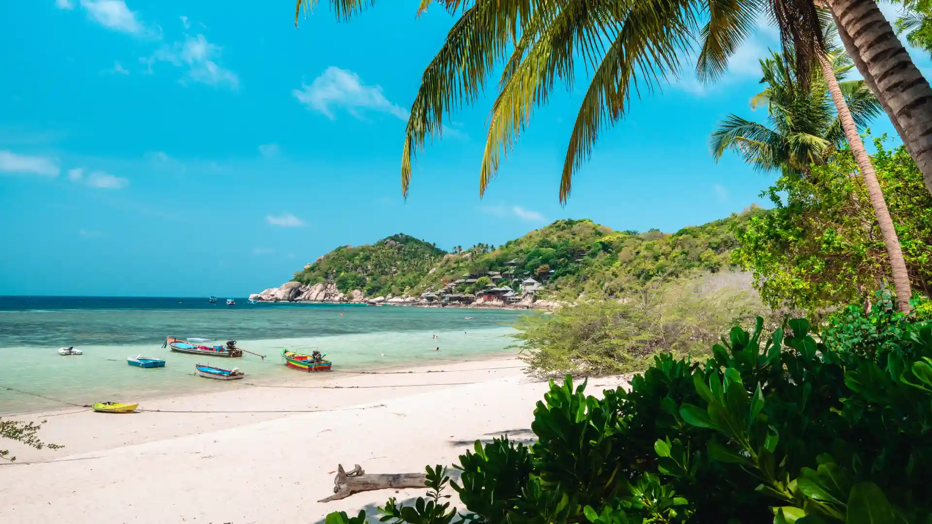 plage du Vietnam avec palmiers